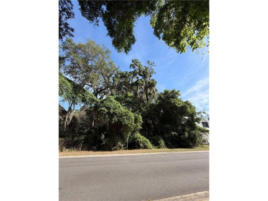 A must-see homesite with beautiful Southern Oaks on a cul-de-sac - photo 3