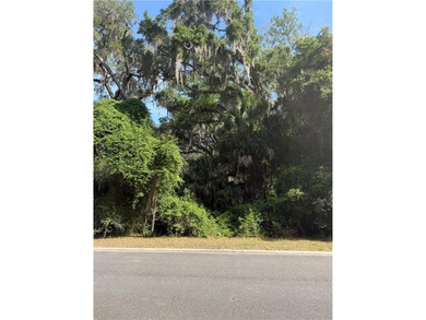 A must-see homesite with beautiful Southern Oaks on a cul-de-sac - photo 4
