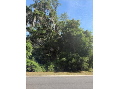 A must-see homesite with beautiful Southern Oaks on a cul-de-sac - photo 5