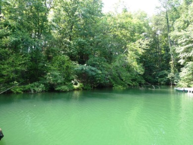 LEWIS SMITH LAKE - One of a kind custom Lake Home on an Estate - photo 29