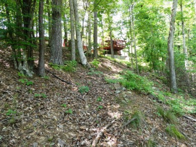 LEWIS SMITH LAKE - One of a kind custom Lake Home on an Estate - photo 31