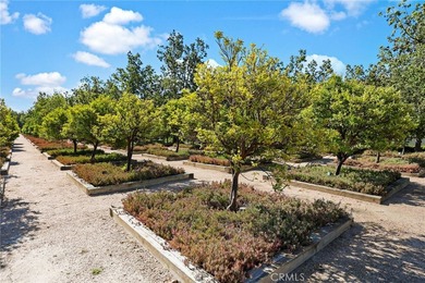 12949 Ternberry Ct - photo 34