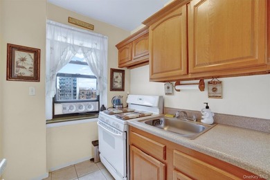 Come check out this lovely, spacious junior 4 apartment filled - photo 4