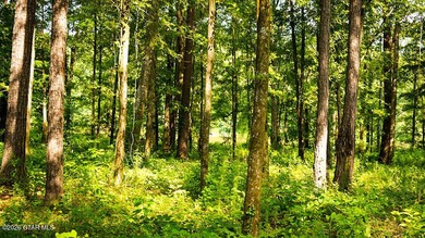 Lot 3 Tucked among mature trees, this scenic lot is ideal for - photo 1