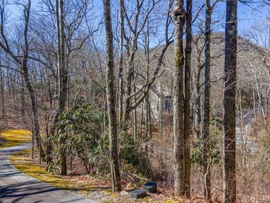 Great mountain views from this gently rolling home-site located - photo 11