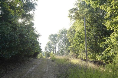 Land For Sale in Near Lake Of The Ozarks MissouriWholesale - photo 12