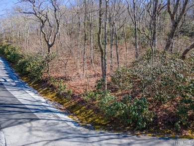Great mountain views from this gently rolling home-site located - photo 12