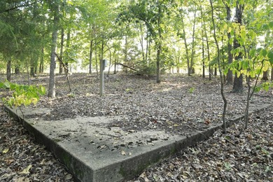 Land For Sale in Near Lake Of The Ozarks MissouriWholesale - photo 13