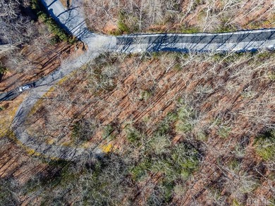 Great mountain views from this gently rolling home-site located - photo 13