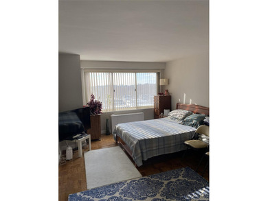 Renovated Kitchen, Large Living Rm/Din. Rm, Bedroom has a Huge - photo 5