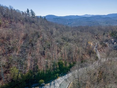 Great mountain views from this gently rolling home-site located - photo 16