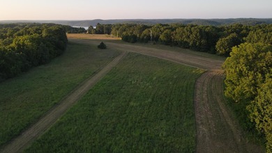 Land For Sale in Near Lake Of The Ozarks MissouriWholesale - photo 20