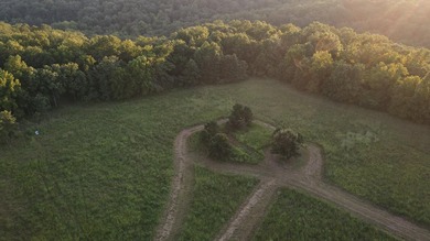 Land For Sale in Near Lake Of The Ozarks MissouriWholesale - photo 21