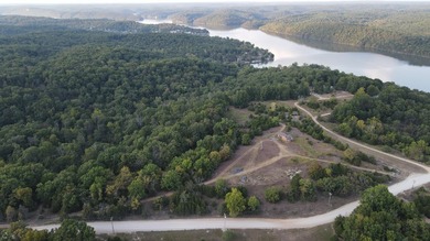 Land For Sale in Near Lake Of The Ozarks MissouriWholesale - photo 24