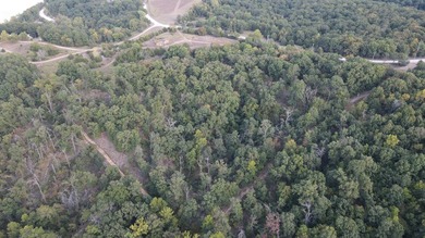 Land For Sale in Near Lake Of The Ozarks MissouriWholesale - photo 27