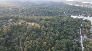 Land For Sale in Near Lake Of The Ozarks MissouriWholesale - photo 29