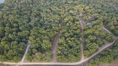 Land For Sale in Near Lake Of The Ozarks MissouriWholesale - photo 31