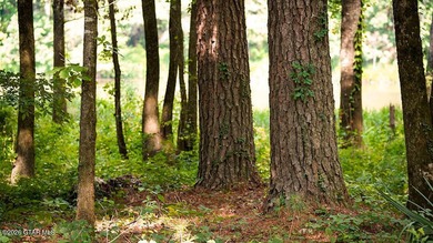 Lot 5 Discover the beauty of this private, tree-filled lot - photo 1