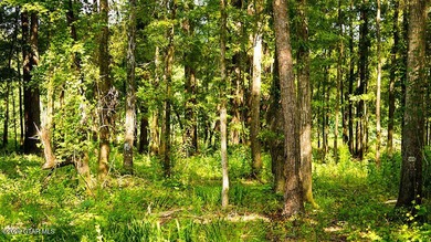 Lot 5 Discover the beauty of this private, tree-filled lot - photo 3