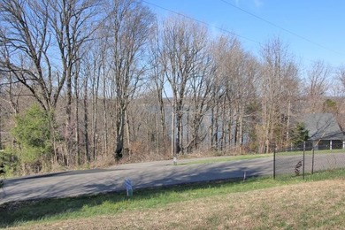 LAKE VIEW LOT ON LAKE VIEW DRIVE! PERFECT LOT FOR YOUR DREAM - photo 3