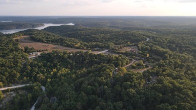 Land For Sale in Near Lake Of The Ozarks MissouriWholesale - photo 36