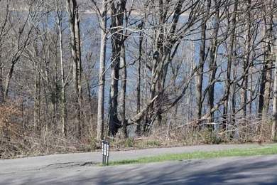 LAKE VIEW LOT ON LAKE VIEW DRIVE! PERFECT LOT FOR YOUR DREAM - photo 6