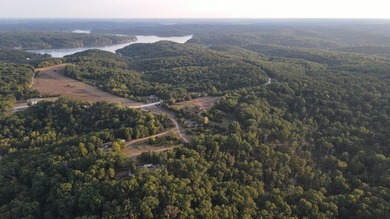 Land For Sale in Near Lake Of The Ozarks MissouriWholesale - photo 37