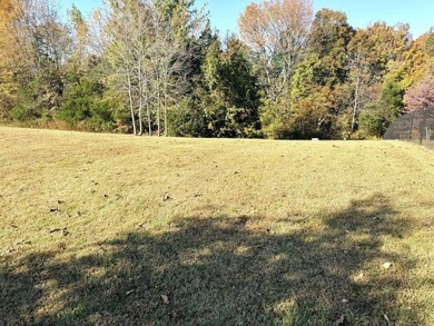 LAKE VIEW LOT ON LAKE VIEW DRIVE! PERFECT LOT FOR YOUR DREAM - photo 7