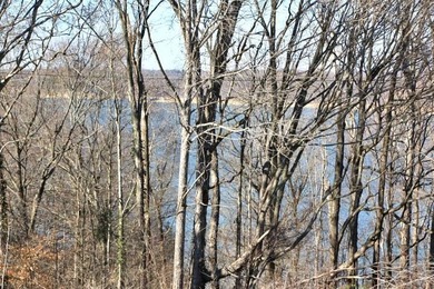 LAKE VIEW LOT ON LAKE VIEW DRIVE! PERFECT LOT FOR YOUR DREAM - photo 8