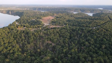 Land For Sale in Near Lake Of The Ozarks MissouriWholesale - photo 39