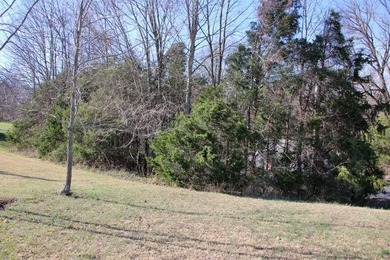 LAKE VIEW LOT ON LAKE VIEW DRIVE! PERFECT LOT FOR YOUR DREAM - photo 9