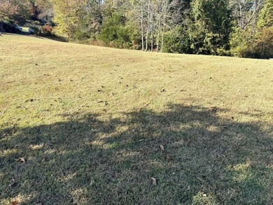 LAKE VIEW LOT ON LAKE VIEW DRIVE! PERFECT LOT FOR YOUR DREAM - photo 10