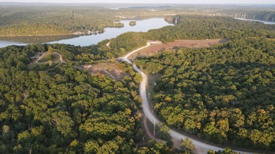 Land For Sale in Near Lake Of The Ozarks MissouriWholesale - photo 41