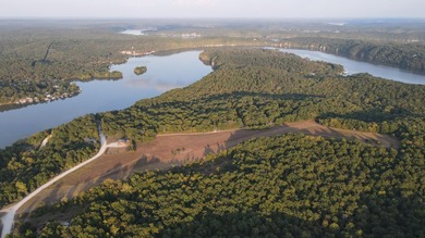Land For Sale in Near Lake Of The Ozarks MissouriWholesale - photo 43