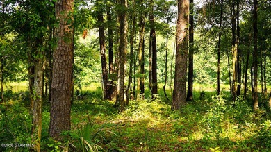 LOT 6 A prime wooded homesite offering natural beauty and river - photo 3