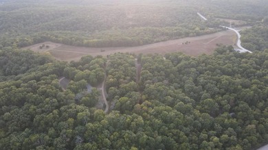 Land For Sale in Near Lake Of The Ozarks MissouriWholesale - photo 45