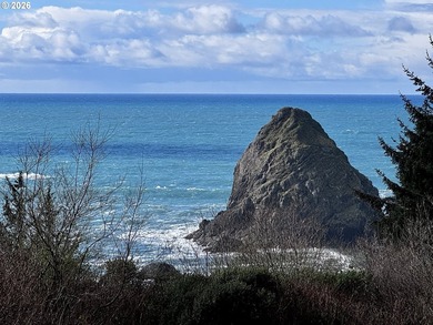 Turnkey Ocean View Cabin - Updated, Income-Producing & Steps to - photo 5