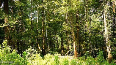Lot 7 This peaceful lot is surrounded by hardwoods and ideal for - photo 3