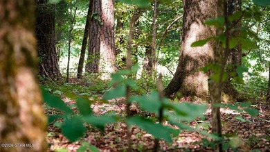 Lot 7 This peaceful lot is surrounded by hardwoods and ideal for - photo 5