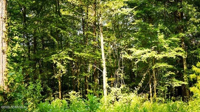 Lot 8 Build your dream home on this scenic wooded lot with room - photo 2
