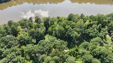 Lot 9 Private and serene, this lot offers a beautiful natural - photo 7