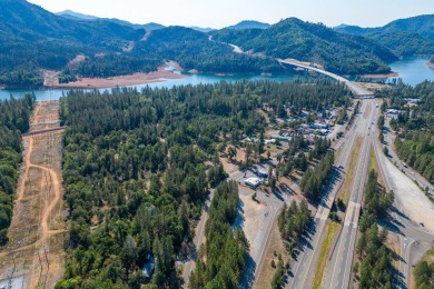 Lake Shasta Commercial For Sale in Lakehead California