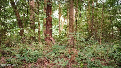 Lot 10 This is a gorgeous wooded tract with ideal terrain for - photo 2