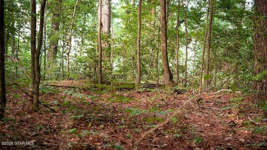 Lot 10 This is a gorgeous wooded tract with ideal terrain for - photo 3