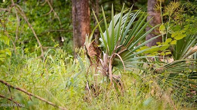 Lot 10 This is a gorgeous wooded tract with ideal terrain for - photo 5
