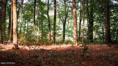 Lot 10 This is a gorgeous wooded tract with ideal terrain for - photo 6