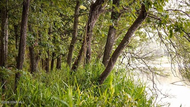 Lot 11 Here's a spacious lot with mature timber and excellent - photo 7