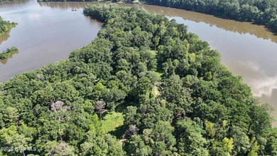 Lot 11 Here's a spacious lot with mature timber and excellent - photo 9