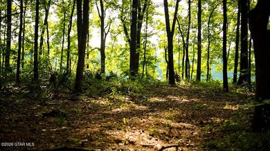 Lot 12 Enjoy peace and privacy on this wooded homesite, perfect - photo 2