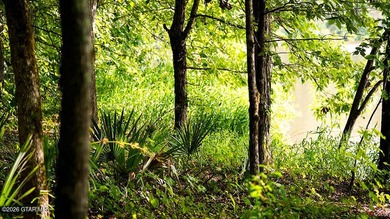 Lot 12 Enjoy peace and privacy on this wooded homesite, perfect - photo 5